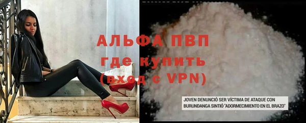 эйфоретик Беломорск