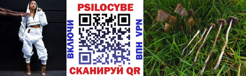 Псилоцибиновые грибы GOLDEN TEACHER  Бикин 